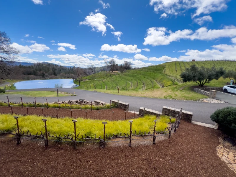 California - Image 3