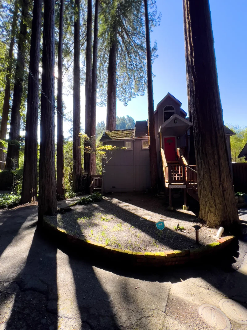 California - Image 10