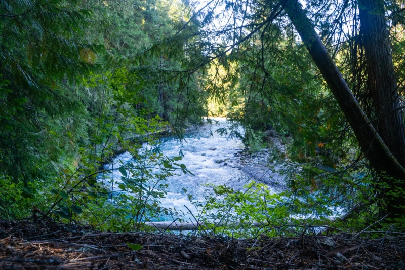 Vancouver + Whistler - Image 15