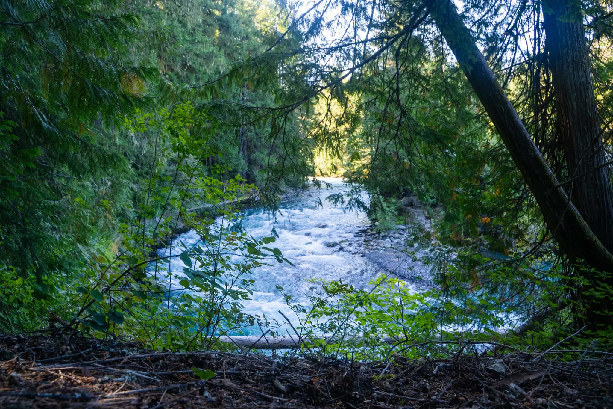 Vancouver city scenes