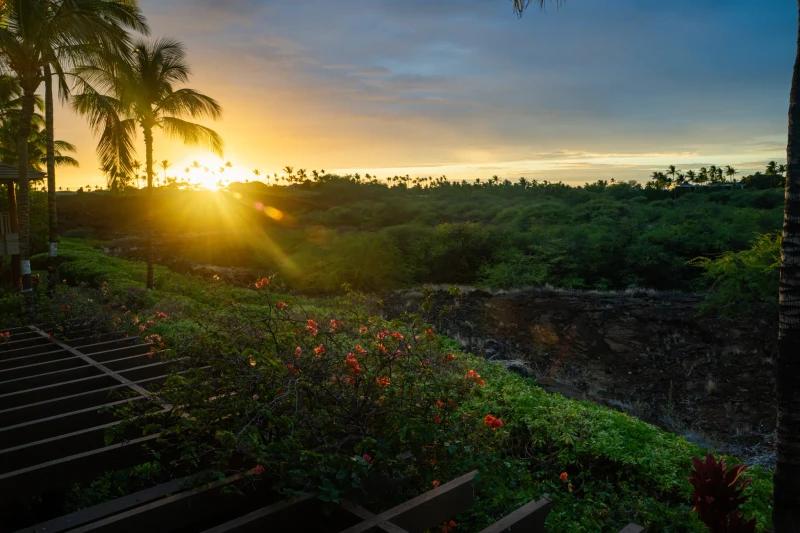 Hawaii - Big Island - Image 17