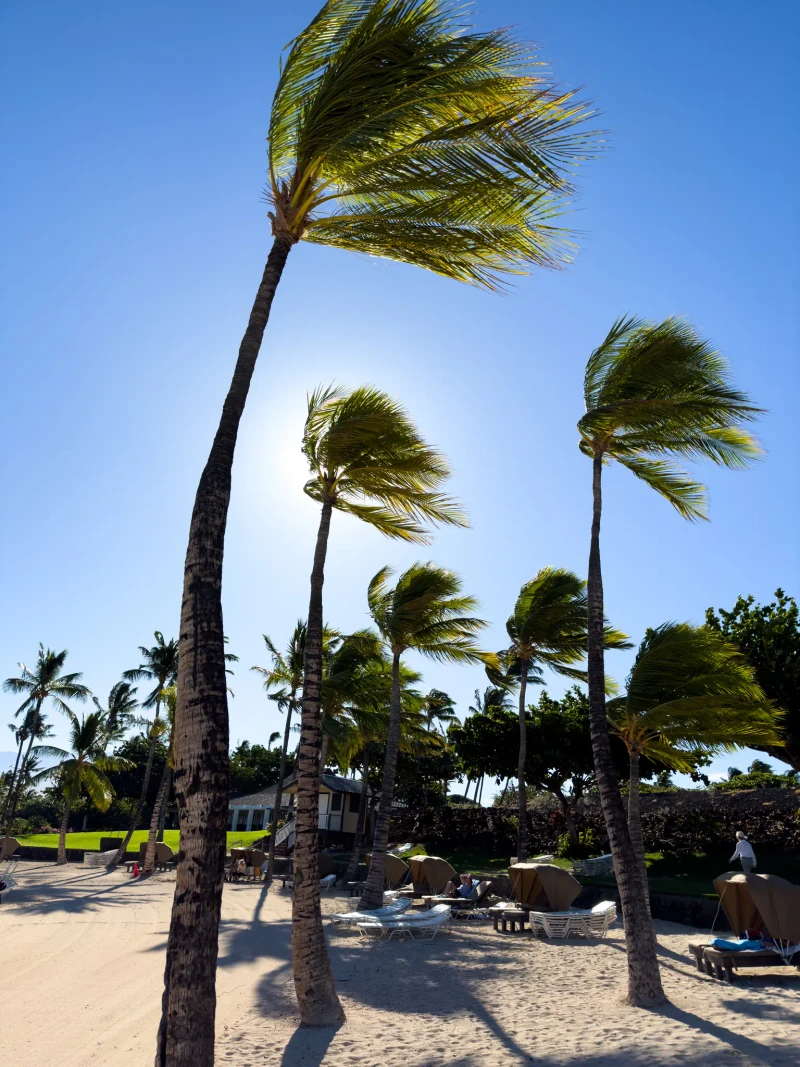 Hawaii - Big Island - Image 25