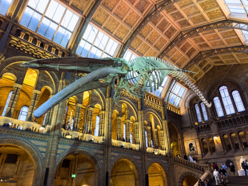 United Kingdom - England - Image 9