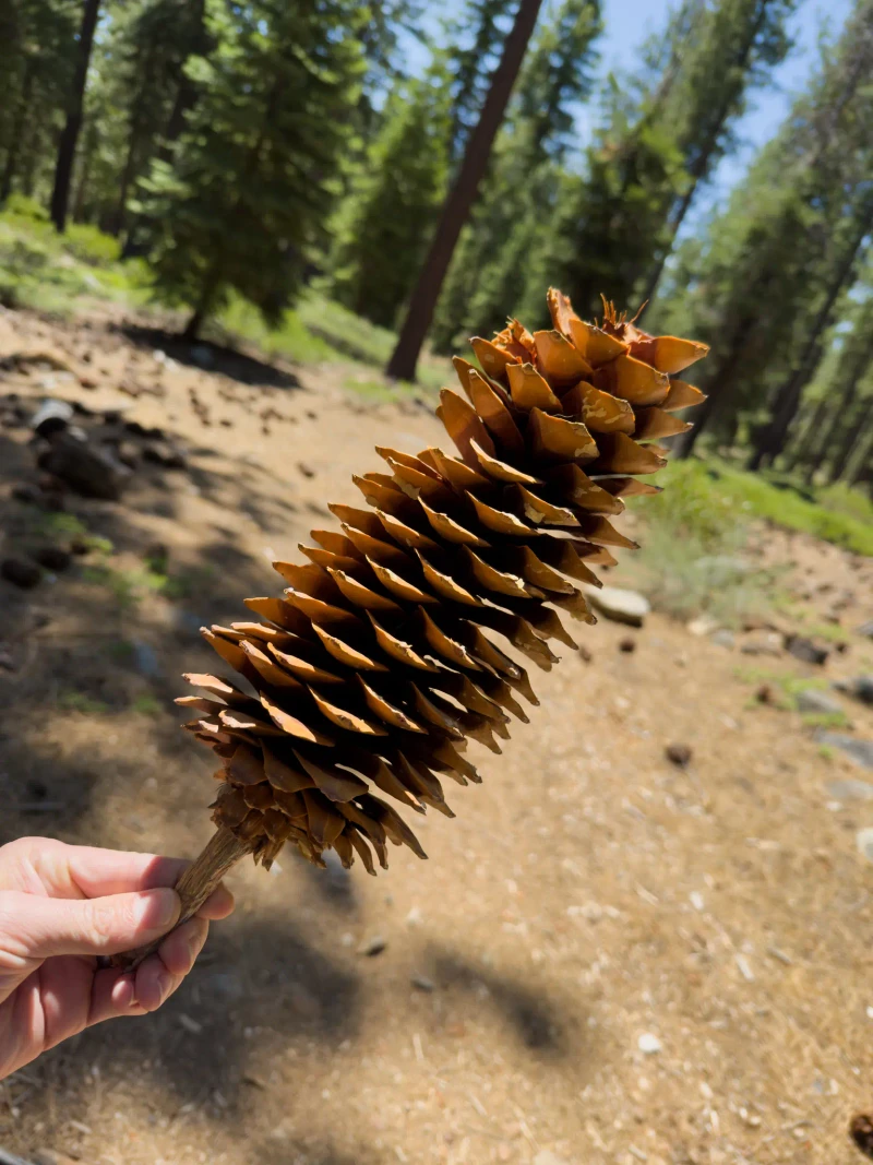 Lake Tahoe - Image 9