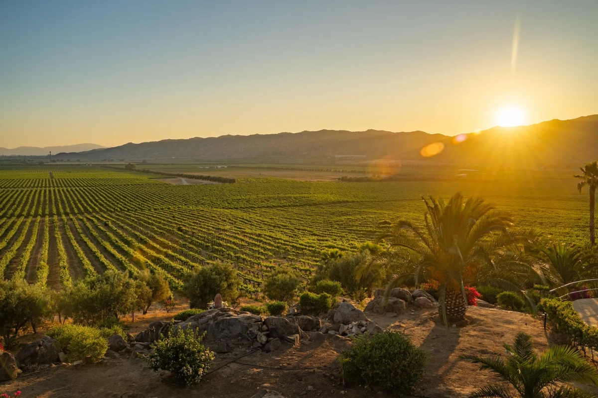 Wedding photography by S7 Memories